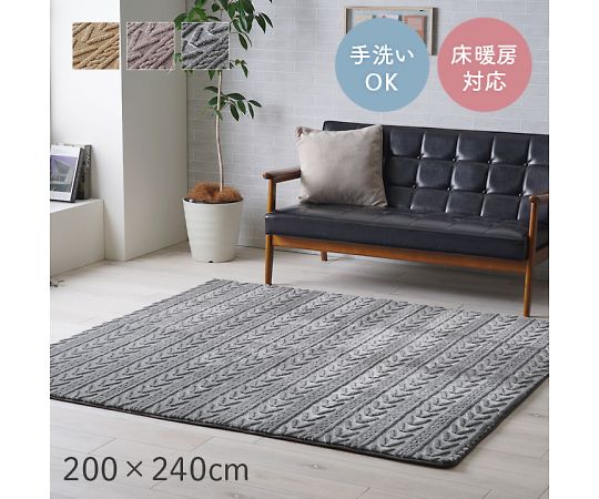 イケヒコ・コーポレーション アルテラ カーペット ジャガードラグ ベージュ 200×240cm 1280900021303 1枚