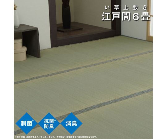 イケヒコ・コーポレーション コバガード上敷 カーペット 上敷 - 261×352cm 江戸間6畳 1020170012602 1枚
