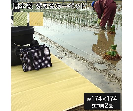 イケヒコ・コーポレーション ファーム カーペット ポリプロピレンカーペット グリーン 174×174cm 江戸間2畳 1090250120902 1枚