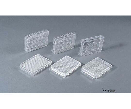 AGCテクノグラス・IWAKI マイクロプレート（浮遊性細胞培養用 表面処理なし）24well MyPack 1箱（10枚入） 1820-024-MYP 1箱(10枚入)