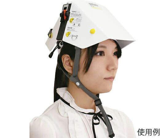 グランデックス タタメットBCP 1個