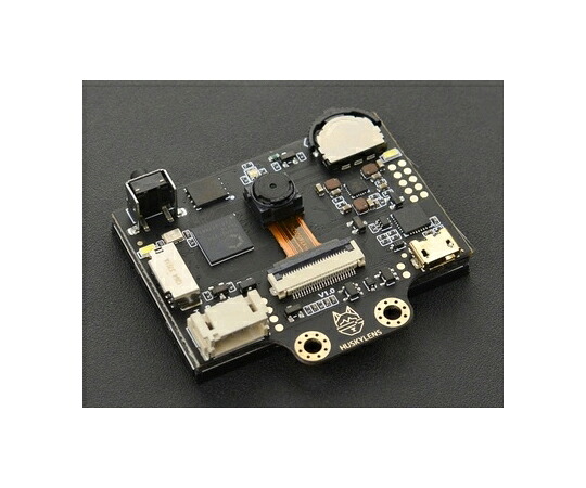 DFRobot Gravity-HUSKYLENS 1個 DFROBOT-SEN0305