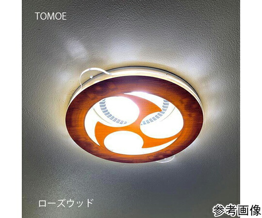西崎ベース ツケレルンダウンライトキャップ（YOZORA DECO） ホワイト_ Lサイズ 1個 dlc-0029-WH_L