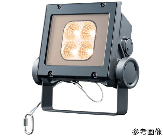 岩崎電気 レディオック フラッド ネオ 40クラス 中角タイプ 電球色 1個 ECF4040M/LSAN8/DG
