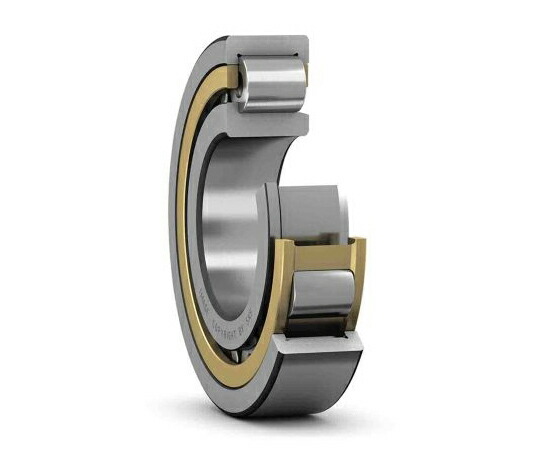 SKF ローラーベアリング 内径50mm レース幅27mm 1個 NJ 310 ECM/C3