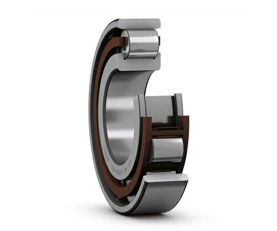 SKF 巻きベアリング 口径100粍 スピード競技幅47粍 1個 N 320 ECM/C3 治療機器-その他