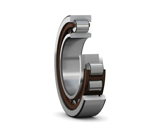 SKF ローラーベアリング 内径45mm レース幅25mm 1個 NU 309 ECP