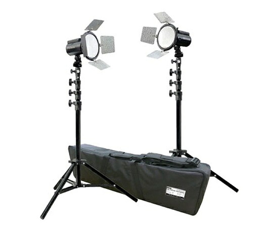 LPL LEDトロピカル VLG-2160S/SET2 1個 L26864