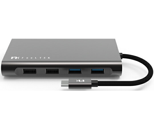 活動の領域スリー Feeltek メガドック10インチ1USB-Cこしき 1個 UCH011AP2