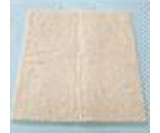 カクイ 油絵の具捕手 100枚入 1箱(100枚入) E-40