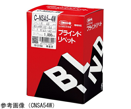 ロブテックス カラーリベット（1000本入） 1式(1000本入) CNSA43BR