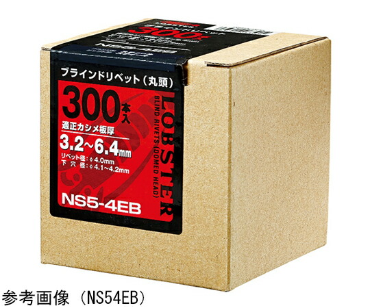 ロブテックス リベット（100本入） 1パック NS84EB