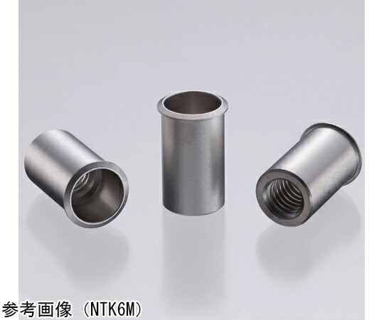ロブテックス 中毒者/100 1式（100個入） 1式(100個入) NTK6M40