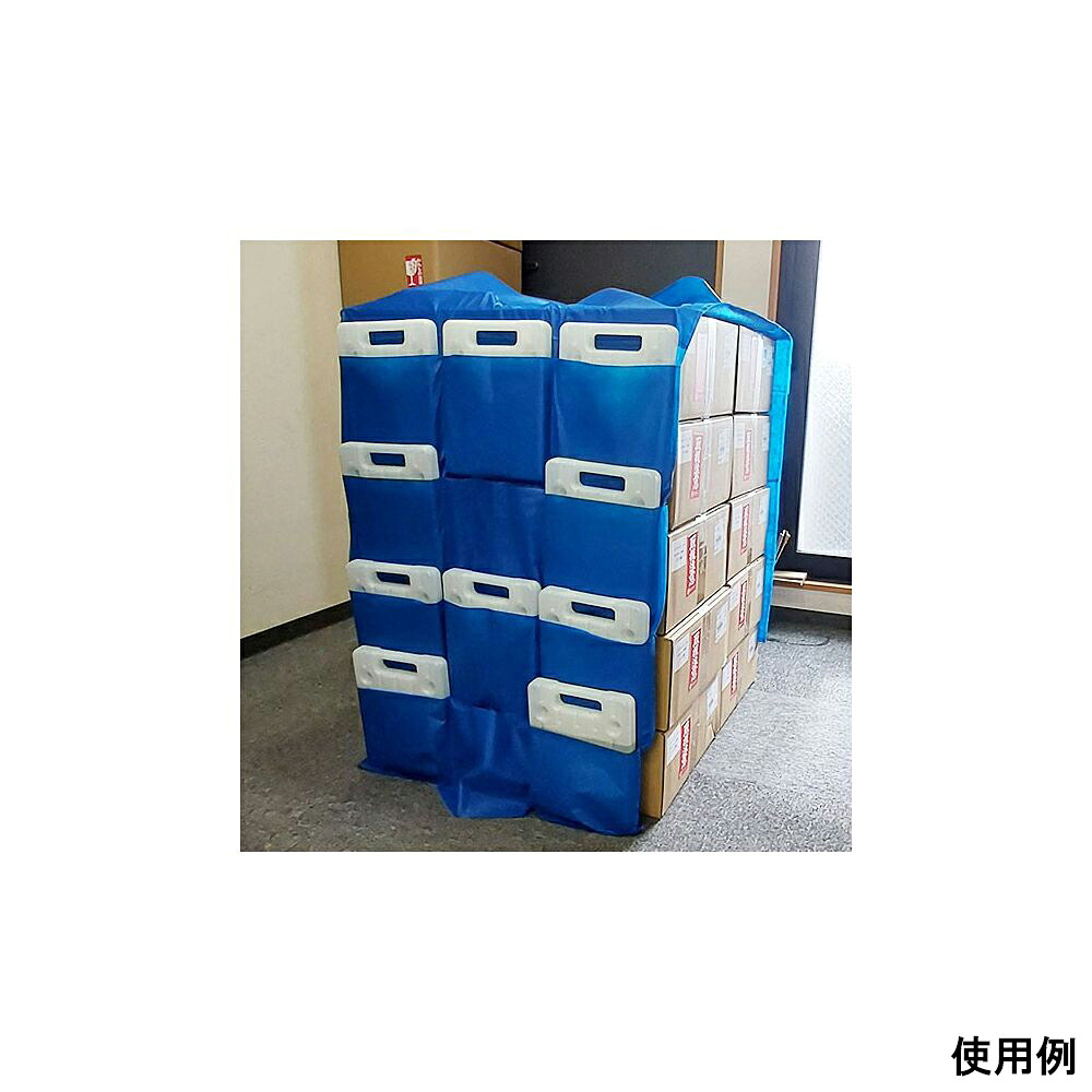 【大型商いもの代引不可/直送】 流行り表われ バイオクール 保冷材用記憶装置衣嚢 1仕掛ける（2枚入） 1仕掛ける(2枚入) BCPSP-2