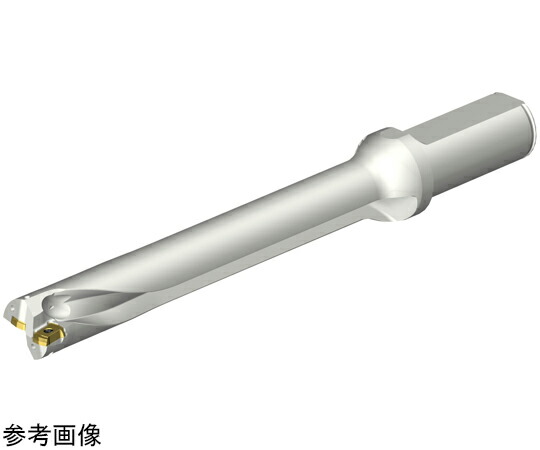 サンドビック コロドリルDS20 【F】 1パック DS20-D2200L25-07