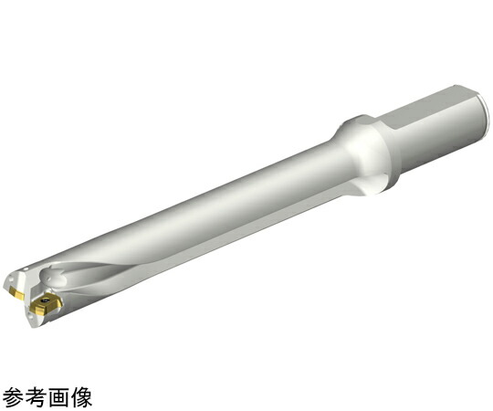 サンドビック コロドリルDS20 【F】 1パック DS20-D2400L25-07
