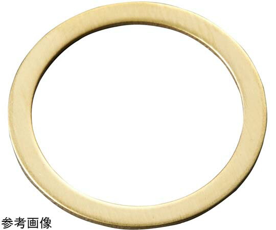 岩田製作所 シムリングCUZN（10枚入）T0.05 1パック(10個入) RB080090005