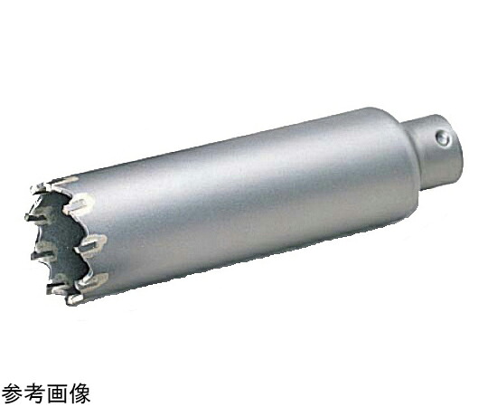 BOSCH ポリ鳴らす振りまわす中核グループ PSI-L022C 1個 PSI-L022C