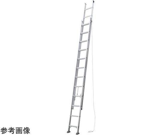 ピカコーポレイション 繋ぎ合わせる式2連掛けはしご コネクトラダー 2JR-60 1個 2JR-60