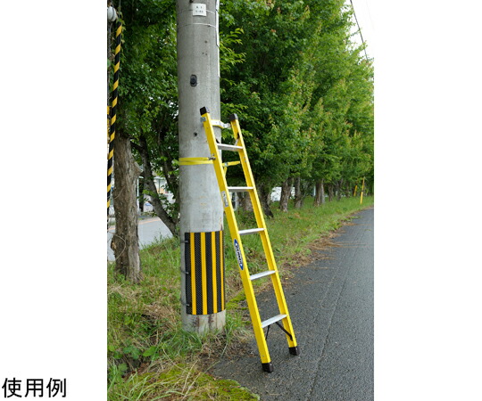 ピカコーポレイション FRP製1連掛けはしご（極点手持ち部分付）FRP-1L18G 1個 FRP-1L18G