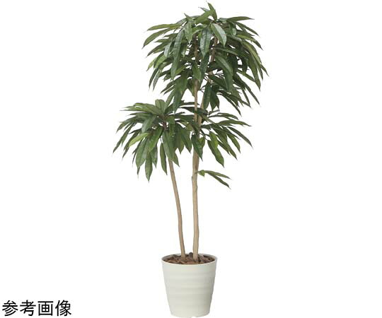 アートクリエイション オランダの首都第一人者 1.6 1個 2439A430 医薬品・コンタクト・介護-治療機器-その他