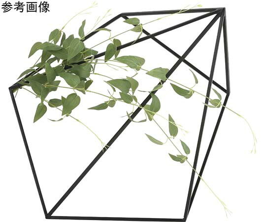 アートクリエイション 壁面緑化リキュウソウ 1個 2002K130