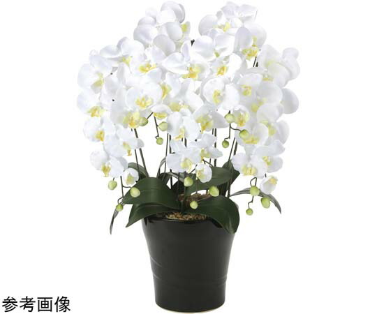 アートクリエイション 皇后陛下夢見鳥蘭 5本立 W 1個 654A150