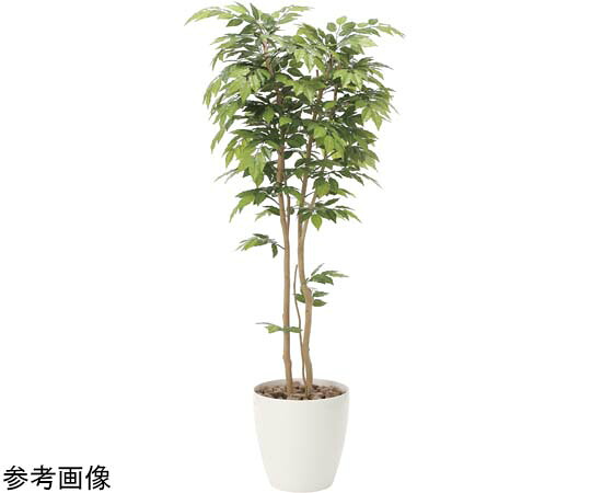 アートクリエイション ケヤキ 1.8 1個 807P470