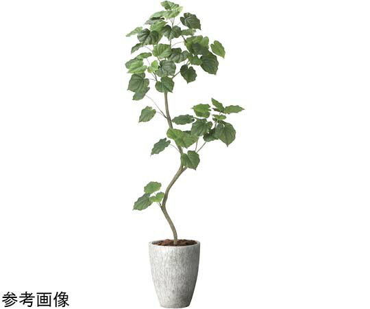 アートクリエイション ナチュラルウンベラータ 1.9（精神的な統合式） 1個 2499A740