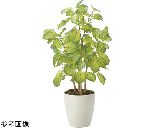 アートクリエイション バウヒニア 70 1個 2431A120