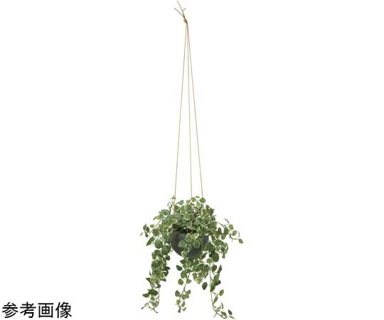 アートクリエイション プミラハンギング 1個 2583A150