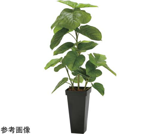 アートクリエイション フレッシュDXスリムウンベラータ 1.2 1個 2326A300