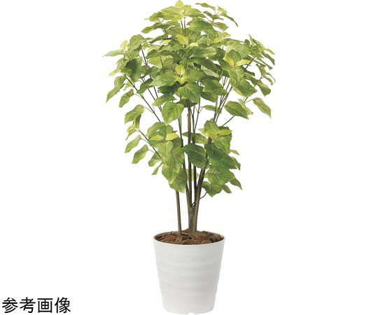 アートクリエイション ペリーラ 1.0 1個 2225A150
