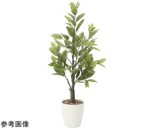 アートクリエイション 檸檬 1.0 1個 818A150