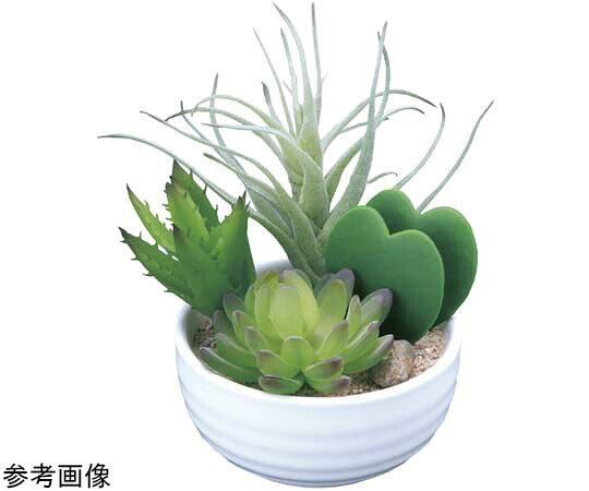 アートクリエイション 寄セ植エラブリー(ポリ製) 1個 232A40