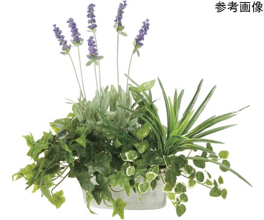 アートクリエイション 寄セ植エラベンダー 1個 2349A100