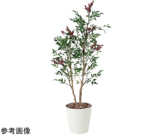 アートクリエイション 南天 1.3 1個 405B200 医薬品・コンタクト・介護-治療機器-その他
