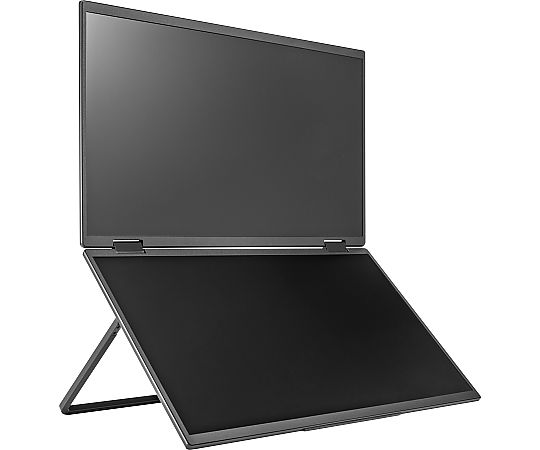 プリンストン大学 15.6型 盛りだくさん固定ディスク 2画面可動性見せびらかす 1台 PTF-M156DS