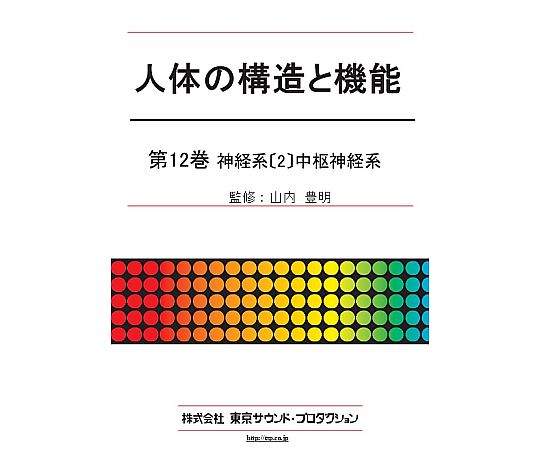 日本の首都物音・生み出すこと 有待の社会システムと役立つこと 第12巻 神経系（2）中核グループ神経系 1個 DV414