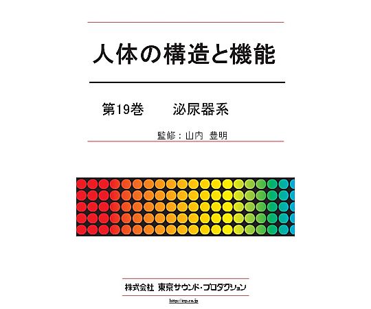 東京サウンド・プロダクション 人体の構造と機能 第19巻 泌尿器系 1個 DV424