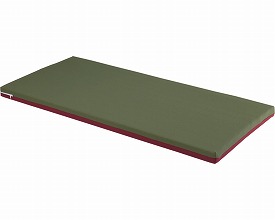 【送料無料】【無料健康相談付】ダブルウェーブマットレス　ショート／レギュラー (MB-3511L)