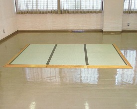 【貨物輸送無料】【無料思わしい論じ合う 客体生産物】車椅子相応う丸洗いたたみ「口さかしい」 三畳2面ｽﾛｰﾌﾟ  (T-TS3-2)