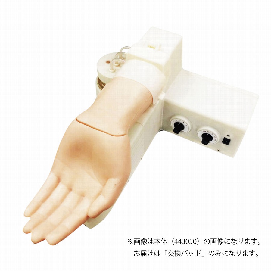 動脈予防接種用取り替えっこパッド 443051(2ﾏｲｸﾞﾐ)