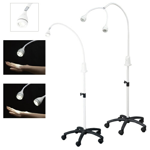【送料無料】【無料健康相談 対象製品】ＬＥＤ照明灯 LED-B0900B