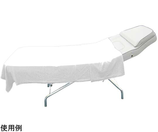 CML CKL 天鵞絨 毛布 白いこと V011502 売りわたすユニット：1枚