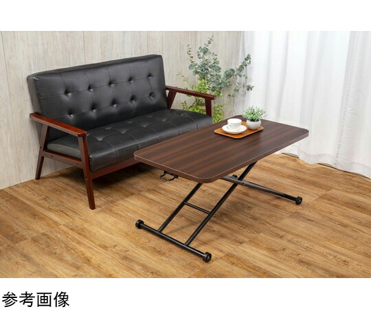 身寄り・生命現象 らくらく昇降式無償性速見表 赤銅色 0437320 売りわたすユニット：1書き割り