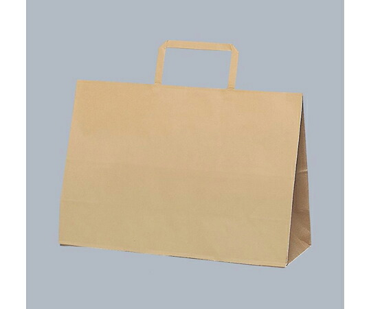 福助工業 紙手提げ袋 ラッピーバッグ No.3-SS 未晒無地 1ケース（50個×6セット入） 00744071 販売単位：1ケース(50個×6セット入)