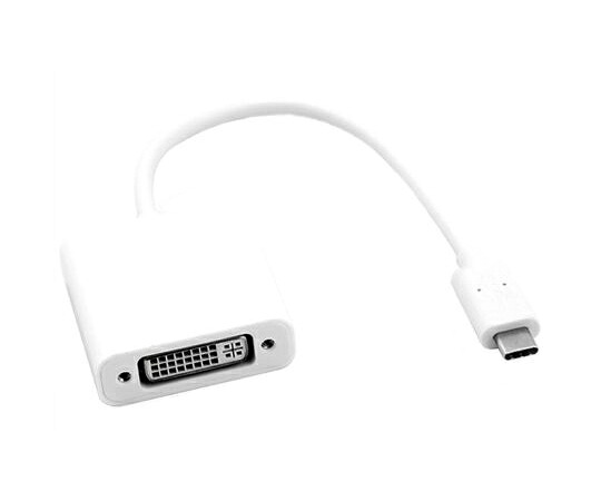 Roline USBアダプタ 100mm USB 3.1 オスUSB C → メスDVI 12.03.3205-10 販売単位：1個