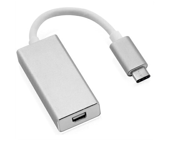 Roline USBアダプタ 100mm USB 3.1 オスUSB C → メスミニDisplayPort 12.03.3225-10 販売単位：1個