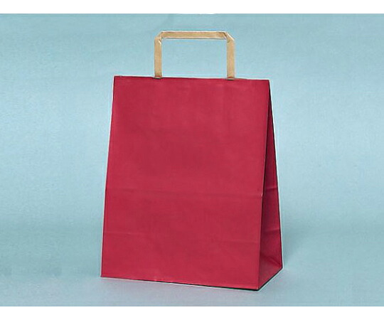 福助工業 紙合切袋袋 SS-1 赤いこと 平紐 1入れもの（50個×6仕掛ける入） 0121746 売りわたすユニット：1入れもの(50個×6仕掛ける入)